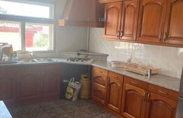 Casa Individuala, 5 camere, 280 mp utili, pretabila clinica, zona centrala