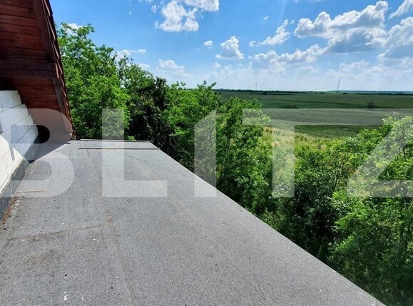 Casa de vânzare 4 camere Sud-Est - 156992CV | BLITZ Timișoara | Poza12