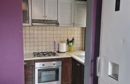 Apartament 2 camere, spatios, curte frumos amenajata, Bulevardul Dragalina