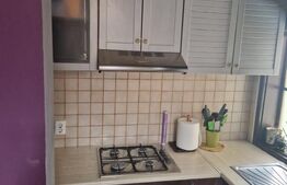 Apartament 2 camere, spatios, curte frumos amenajata, Bulevardul Dragalina