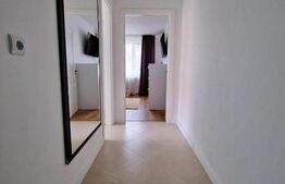 Apartament, 1 camera, Pet Friendly