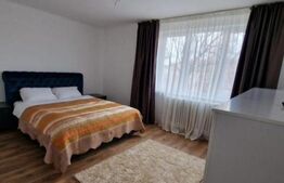 Apartament, 1 camera, Pet Friendly