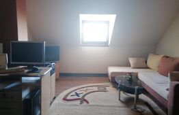 Casa individuala, 6 camere, Su=300 mp, St=1700mp, Sanandrei