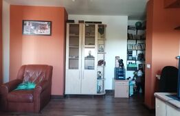 Casa individuala, 6 camere, Su=300 mp, St=1700mp, Sanandrei