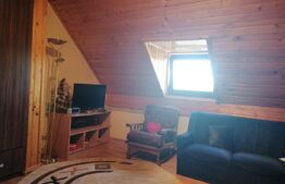 Casa individuala, 6 camere, Su=300 mp, St=1700mp, Sanandrei