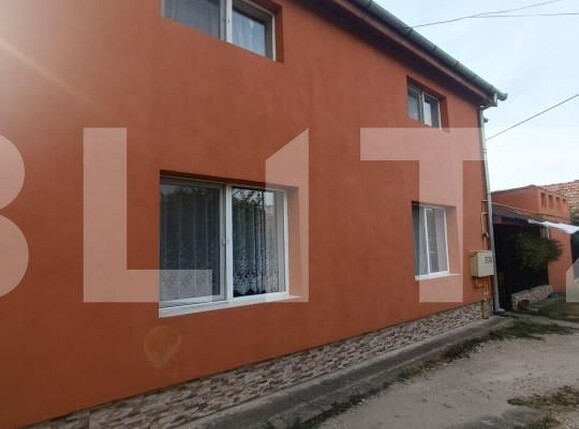 Casa de vânzare 7 camere Girocului - 157559CV | BLITZ Timișoara | Poza1
