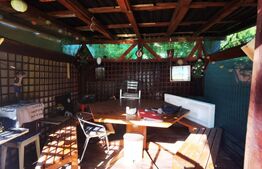 Casa, zona Balcescu-Elisabetin