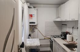 Ap 1 camera, complet renovat 40mp, langa Parc Clabucet