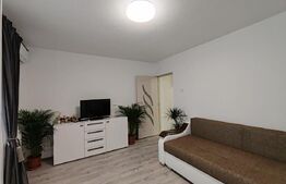 Ap 1 camera, complet renovat 40mp, langa Parc Clabucet