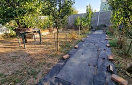 Casa individuala, teren 666 mp, zona Muzicescu