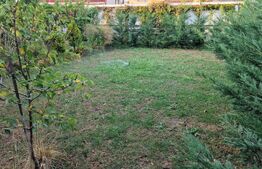 Casa individuala, teren 666 mp, zona Muzicescu