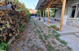 Casa individuala, teren 666 mp, zona Muzicescu