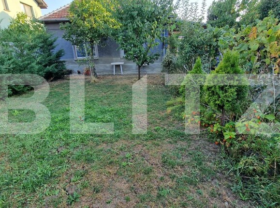 Casa de vânzare 3 camere Sagului - 157855CV | BLITZ Timișoara | Poza8