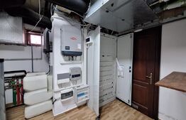 Cea mai exclusivista vila de pe piata imobiliara, Timisoara!