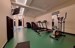 Cea mai exclusivista vila de pe piata imobiliara, Timisoara!