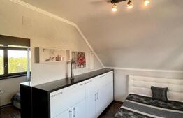 Vila superba 4 cam INDIVIDUALA, in still italian, central Giarmata Vii