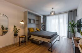 Studio 1 camera plus birou, 48 mp, City of Mara