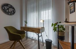 Studio 1 camera plus birou, 48 mp, City of Mara