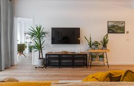 Studio 1 camera plus birou, 48 mp, City of Mara