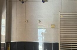 Casa 7 camere, 397 mp + SAD, functioneaza ca si BAR+terasa