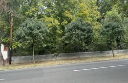 Casa 7 camere, 397 mp + SAD, functioneaza ca si BAR+terasa