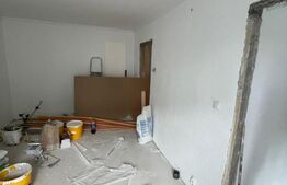 Apartament cu o camera 24 mp, Lipovei