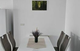 Apartament 2 camere, 65 mp utili, Terasa 10 mp, zona Torontalului