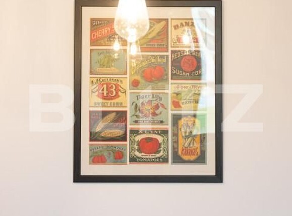 Apartament de închiriat 2 camere Take Ionescu - 158271AI | BLITZ Timișoara | Poza12