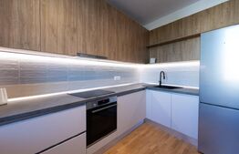 Apartament cu 2 camere, 52 mp, decomandat, zona Take Ionescu (ISHO)