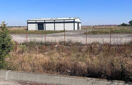 Hală industrială – Sânandrei | Acces rapid la Centură și Autostradă