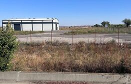 Hală industrială – Sânandrei | Acces rapid la Centură și Autostradă
