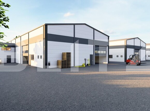 Spațiu industrial de vânzare Sânandrei - 158301SVI | BLITZ Timișoara | Poza1