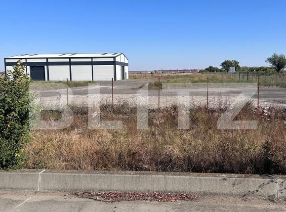 Spațiu industrial de vânzare Sânandrei - 158301SVI | BLITZ Timișoara | Poza4