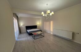 Casa individuala, 550 mp, zona Mehala