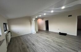 Casa individuala, 550 mp, zona Mehala