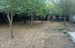 Casa individuala, 550 mp, zona Mehala