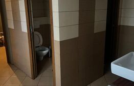 Spatiu comercial in COMPLEX, aproape de caminele studentesti, 123mp, 3 incaperi