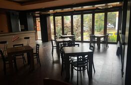 Spațiu comercial de închiriat Torontalului - 67772SIC - Poza 1 din 1 | BLITZ Timișoara | Poza1