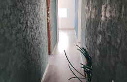 Duplex pe parter, spatios si luminos Mosnita Noua