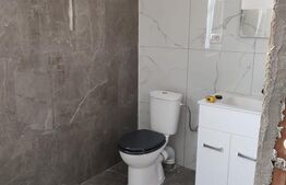 Duplex pe parter, spatios si luminos Mosnita Noua