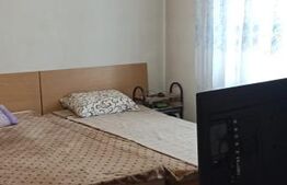 Casă mare, teren 680 mp, garaj, solar, în Satchinez