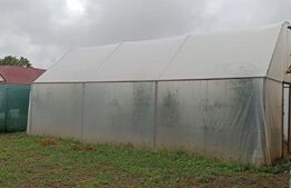 Casă mare, teren 680 mp, garaj, solar, în Satchinez