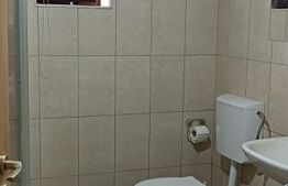 Casă mare, teren 680 mp, garaj, solar, în Satchinez