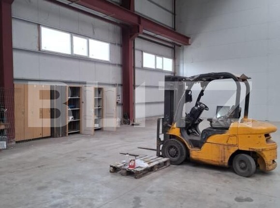 Spațiu industrial de închiriat Sacalaz - 158689SII | BLITZ Timișoara | Poza2
