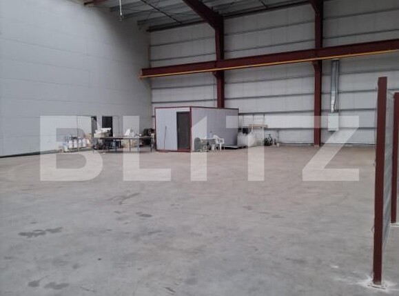 Spațiu industrial de închiriat Sacalaz - 158689SII | BLITZ Timișoara | Poza1