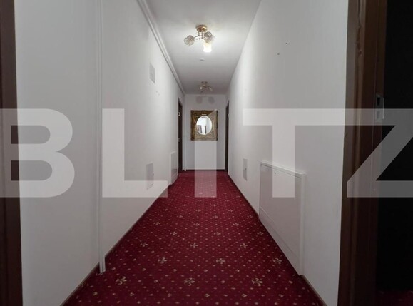 Spațiu comercial de închiriat Semicentral - 159012SIC | BLITZ Timișoara | Poza19