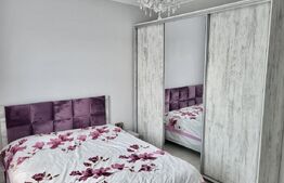 Duplex superb si cochet, Mosnita Noua