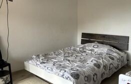 Oază de liniște și rafinament: Casă deosebită cu piscină și grădină