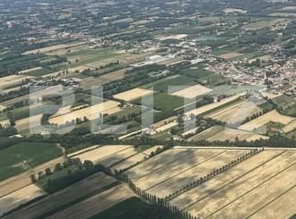 Teren de vânzare Dumbravita - 159251TV | BLITZ Timișoara | Poza1