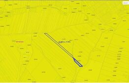 Teren, 5 HA, cu front la sosea, Seceani